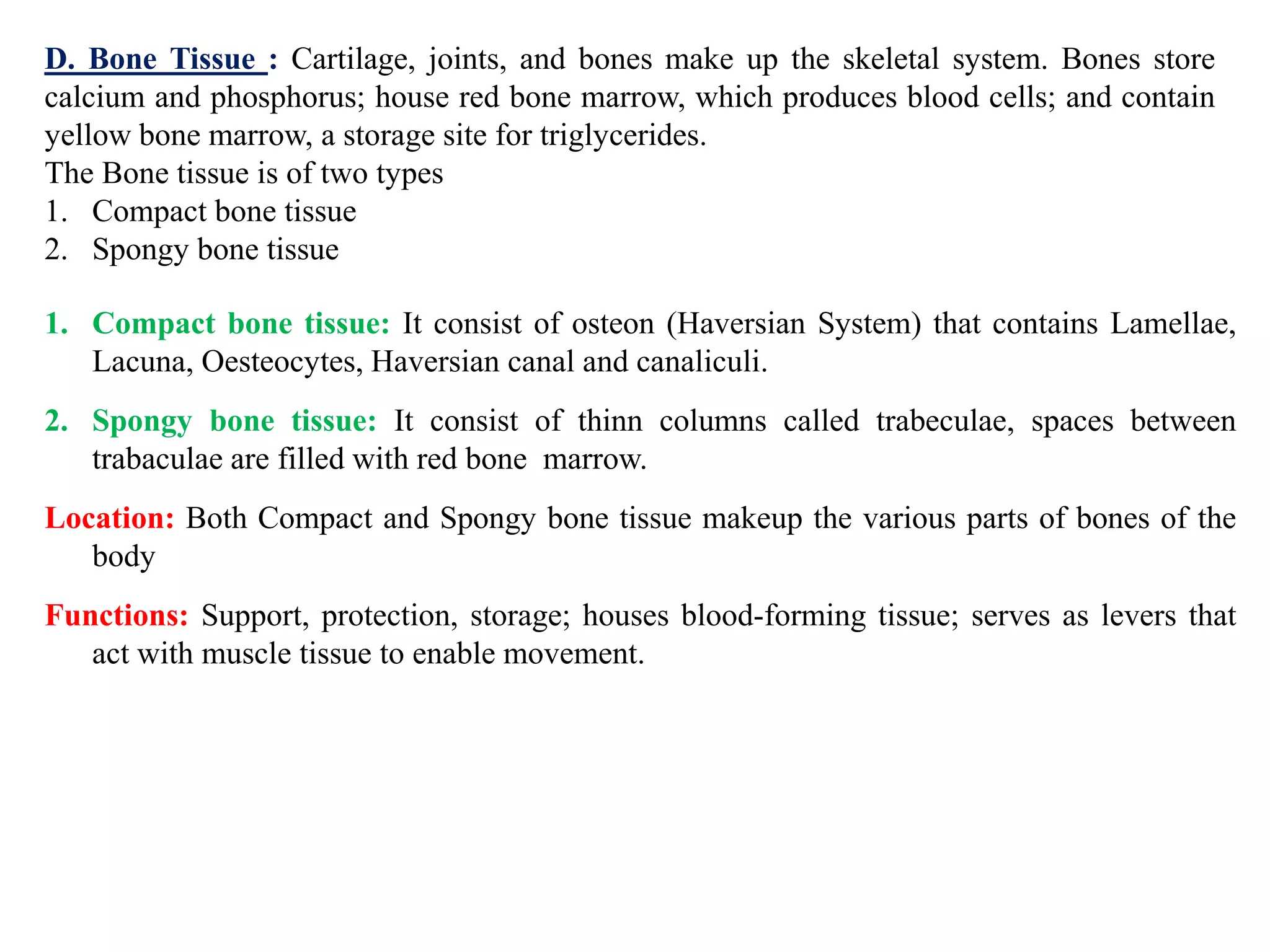 D. Bone Tissue : Cartilage, joints, and bones make up the skeletal system. Bones store
calcium and phosphorus; house red bone marrow, which produces blood cells; and contain
yellow bone marrow, a storage site for triglycerides.
The Bone tissue is of two types
1. Compact bone tissue
2. Spongy bone tissue
1. Compact bone tissue: It consist of osteon (Haversian System) that contains Lamellae,
Lacuna, Oesteocytes, Haversian canal and canaliculi.
2. Spongy bone tissue: It consist of thinn columns called trabeculae, spaces between
trabaculae are filled with red bone marrow.
Location: Both Compact and Spongy bone tissue makeup the various parts of bones of the
body
Functions: Support, protection, storage; houses blood-forming tissue; serves as levers that
act with muscle tissue to enable movement.
 