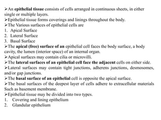 Tissues | PPTX