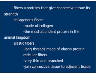 17
fibers =proteins that give connective tissue its
strength
collagenous fibers
-made of collagen
-the most abundant protein in the
animal kingdom
elastic fibers
-long threads made of elastin protein
reticular fibers
-very thin and branched
-join connective tissue to adjacent tissue
 