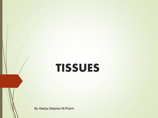 TISSUES
By Gladys Stephen M.Pharm
 