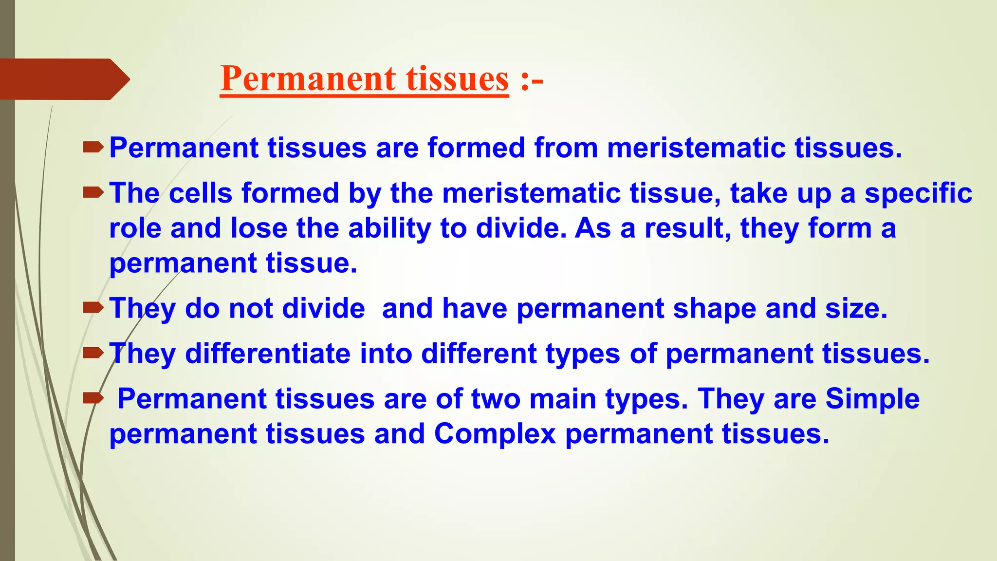 Permanent tissues :-
Permanent tissues are formed from meristematic tissues.
The cells formed by the meristematic tissue, take up a specific
role and lose the ability to divide. As a result, they form a
permanent tissue.
They do not divide and have permanent shape and size.
They differentiate into different types of permanent tissues.
 Permanent tissues are of two main types. They are Simple
permanent tissues and Complex permanent tissues.
 