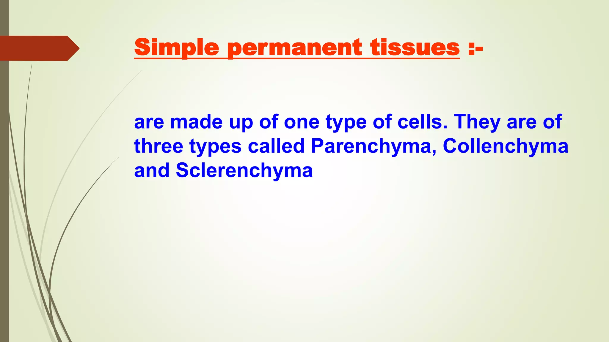 Simple permanent tissues :-
are made up of one type of cells. They are of
three types called Parenchyma, Collenchyma
and Sclerenchyma
 