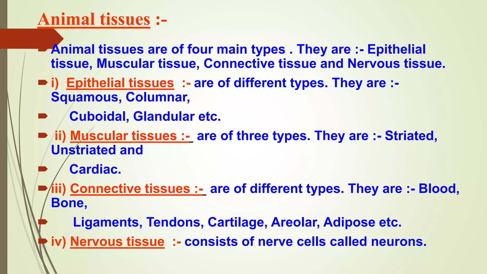 Animal tissues :-
Animal tissues are of four main types . They are :- Epithelial
tissue, Muscular tissue, Connective tissue and Nervous tissue.
i) Epithelial tissues :- are of different types. They are :-
Squamous, Columnar,
 Cuboidal, Glandular etc.
 ii) Muscular tissues :- are of three types. They are :- Striated,
Unstriated and
 Cardiac.
iii) Connective tissues :- are of different types. They are :- Blood,
Bone,
 Ligaments, Tendons, Cartilage, Areolar, Adipose etc.
iv) Nervous tissue :- consists of nerve cells called neurons.
 