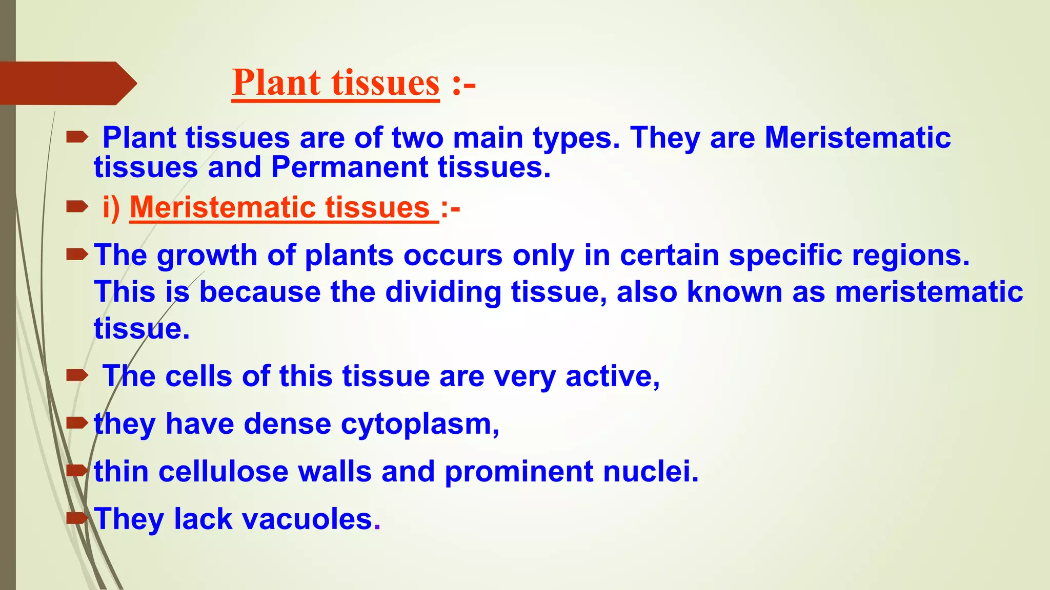 Plant tissues :-
 Plant tissues are of two main types. They are Meristematic
tissues and Permanent tissues.
 i) Meristematic tissues :-
The growth of plants occurs only in certain specific regions.
This is because the dividing tissue, also known as meristematic
tissue.
 The cells of this tissue are very active,
they have dense cytoplasm,
thin cellulose walls and prominent nuclei.
They lack vacuoles.
 