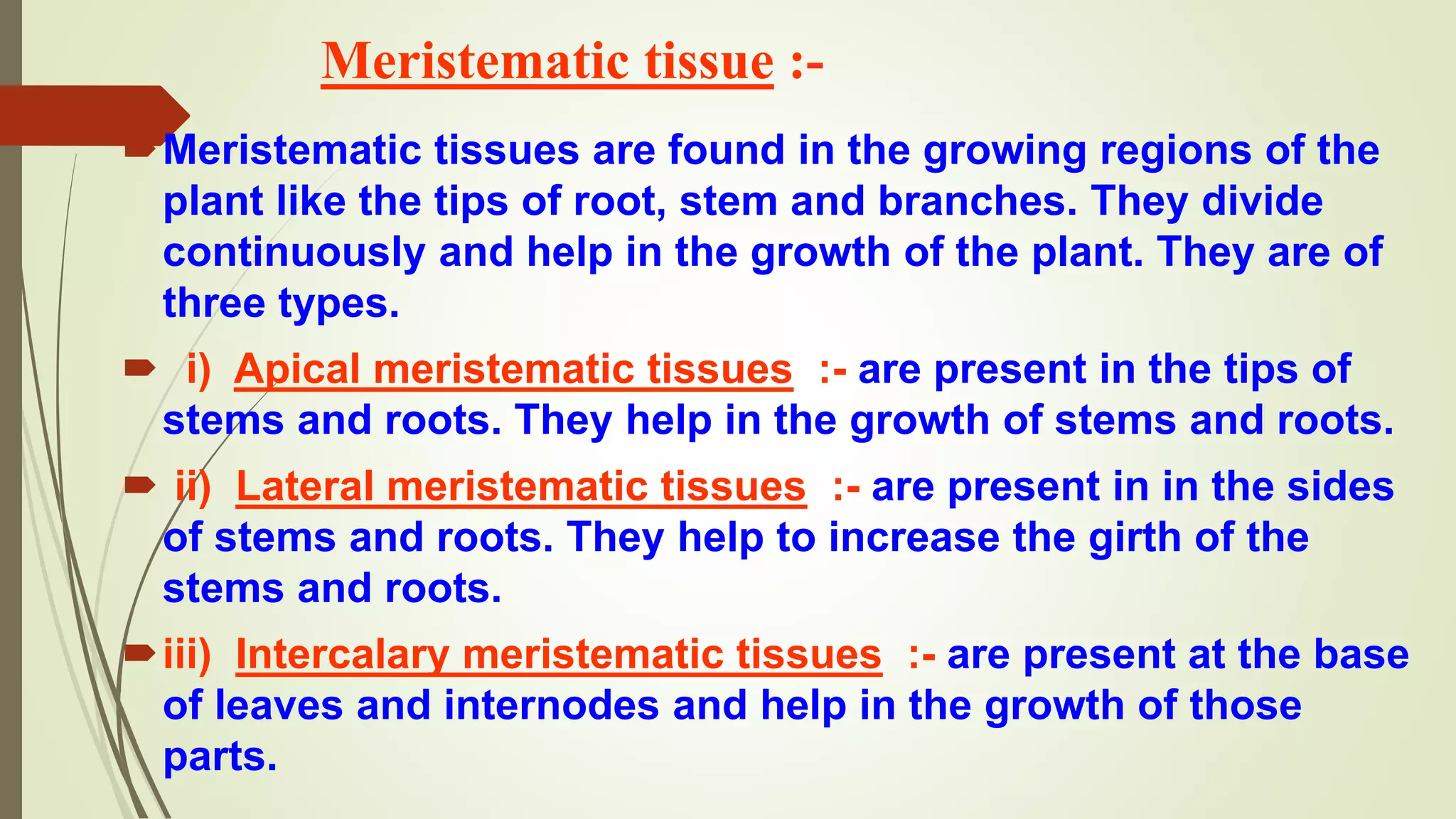 Meristematic tissue :-
Meristematic tissues are found in the growing regions of the
plant like the tips of root, stem and branches. They divide
continuously and help in the growth of the plant. They are of
three types.
 i) Apical meristematic tissues :- are present in the tips of
stems and roots. They help in the growth of stems and roots.
 ii) Lateral meristematic tissues :- are present in in the sides
of stems and roots. They help to increase the girth of the
stems and roots.
iii) Intercalary meristematic tissues :- are present at the base
of leaves and internodes and help in the growth of those
parts.
 
