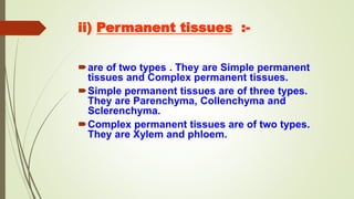ii) Permanent tissues :-
are of two types . They are Simple permanent
tissues and Complex permanent tissues.
Simple permanent tissues are of three types.
They are Parenchyma, Collenchyma and
Sclerenchyma.
Complex permanent tissues are of two types.
They are Xylem and phloem.
 