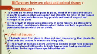 Differences between plant and animal tissues :-
a) Plant tissues :-
 i) Plants do not move from place to place. Most of the cells and tissues
in plants provide mechanical support and strength. So most of the tissues
consists of dead cells because they provide mechanical support and
strength to the plant.
 ii) The growth of plants takes place only in some regions. So plants have
tissues called meristematic tissues which divide and help in growth and
permanent tissues which do not divide.
b) Animal tissues :-
 i) Animals move from place to place and need more energy than plants. So
most cells and tissues in animals are living cells.
 ii) The growth of animals is more uniform so animals do not have separate
dividing and non dividing cells. Animals have organs having specialised
functions. So the organs have specialised tissues.
 