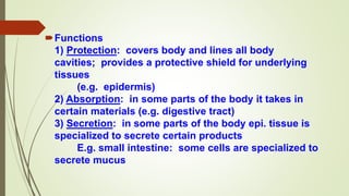 Functions
1) Protection: covers body and lines all body
cavities; provides a protective shield for underlying
tissues
(e.g. epidermis)
2) Absorption: in some parts of the body it takes in
certain materials (e.g. digestive tract)
3) Secretion: in some parts of the body epi. tissue is
specialized to secrete certain products
E.g. small intestine: some cells are specialized to
secrete mucus
 