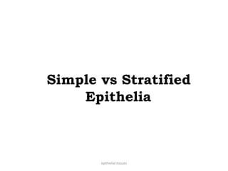 Simple vs Stratified
Epithelia
epithelial tissues
 