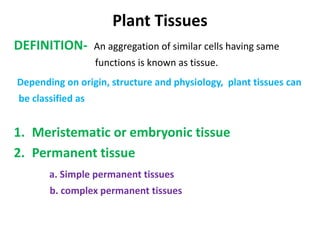 Plant Tissues
DEFINITION- An aggregation of similar cells having same
functions is known as tissue.
Depending on origin, structure and physiology, plant tissues can
be classified as
1. Meristematic or embryonic tissue
2. Permanent tissue
a. Simple permanent tissues
b. complex permanent tissues
 