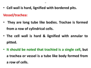 15
• Cell wall is hard, lignified with bordered pits.
Vessel/trachea:
• They are long tube like bodies. Trachae is formed
from a row of cylindrical cells.
• The cell wall is hard & lignified with annular to
pitted.
• It should be noted that trachied is a single cell, but
a trachea or vessel is a tube like body formed from
a row of cells.
 