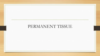 PERMANENT TISSUE
 