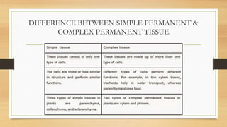 DIFFERENCE BETWEEN SIMPLE PERMANENT &
COMPLEX PERMANENT TISSUE
 