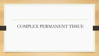 COMPLEX PERMANENT TISSUE
 