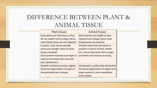 DIFFERENCE BETWEEN PLANT &
ANIMAL TISSUE
 