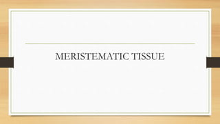 MERISTEMATIC TISSUE
 