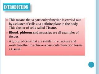 INTRODUCTION
 This means that a particular function is carried out
by a cluster of cells at a definite place in the body.
This cluster of cells called Tissue.
 Blood, phloem and muscles are all examples of
tissues.
 A group of cells that are similar in structure and
work together to achieve a particular function forms
a tissue.
 