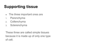 Supporting tissue
● The three important ones are
1. Parenchyma
2. Collenchyma
3. Sclerenchyma
These three are called simple tissues
because it is made up of only one type
of cell.
 