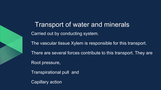 Transport of water and minerals
Carried out by conducting system.
The vascular tissue Xylem is responsible for this transport.
There are several forces contribute to this transport. They are
Root pressure,
Transpirational pull and
Capillary action
 