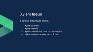 Xylem tissue
It consists of four types of cells.
1. Xylem tracheids
2. Xylem vessels
3. Xylem parenchyma or wood parenchyma
4. Xylem sclerenchyma or wood fibres.
 