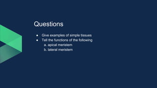 Questions
● Give examples of simple tissues
● Tell the functions of the following
a. apical meristem
b. lateral meristem
 