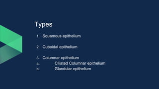 Types
1. Squamous epithelium
2. Cuboidal epithelium
3. Columnar epithelium
a. Ciliated Columnar epithelium
b. Glandular epithelium
 