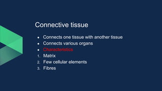 Connective tissue
● Connects one tissue with another tissue
● Connects various organs
● Characteristics
1. Matrix
2. Few cellular elements
3. Fibres
 
