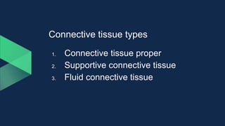 Connective tissue types
1. Connective tissue proper
2. Supportive connective tissue
3. Fluid connective tissue
 