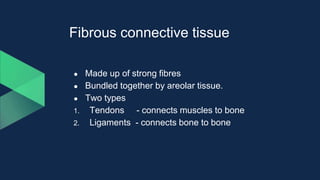 Fibrous connective tissue
● Made up of strong fibres
● Bundled together by areolar tissue.
● Two types
1. Tendons - connects muscles to bone
2. Ligaments - connects bone to bone
 