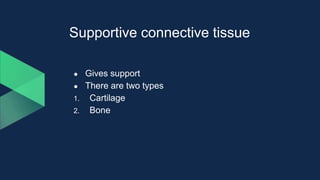 Supportive connective tissue
● Gives support
● There are two types
1. Cartilage
2. Bone
 