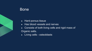 Bone
● Hard porous tissue
● Has blood vessels and nerves
● Consists of both living cells and rigid mass of
Organic salts.
● Living cells - osteoblasts
 