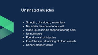 Unstriated muscles
● Smooth , Unstriped , involuntary
● Not under the control of our will
● Made up of spindle shaped tapering cells
● Uninucleated
● Found in wall of intestine
● Iris of the eye ,skin,lining of blood vessels
● Urinary bladder,uterus
 