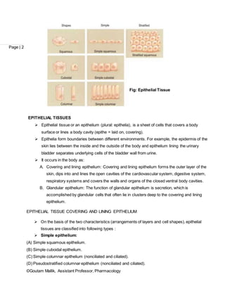 Tissues | DOCX