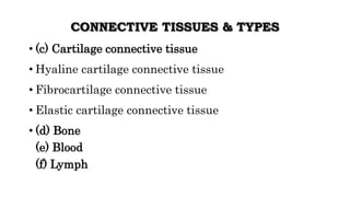 CONNECTIVE TISSUES & TYPES
• (c) Cartilage connective tissue
• Hyaline cartilage connective tissue
• Fibrocartilage connective tissue
• Elastic cartilage connective tissue
• (d) Bone
(e) Blood
(f) Lymph
 