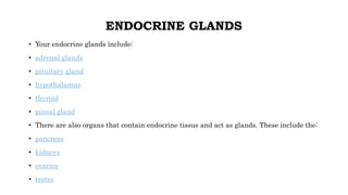 ENDOCRINE GLANDS
• Your endocrine glands include:
• adrenal glands
• pituitary gland
• hypothalamus
• thyroid
• pineal gland
• There are also organs that contain endocrine tissue and act as glands. These include the:
• pancreas
• kidneys
• ovaries
• testes
 