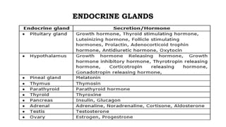 ENDOCRINE GLANDS
 