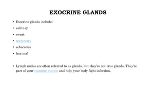 EXOCRINE GLANDS
• Exocrine glands include:
• salivary
• sweat
• mammary
• sebaceous
• lacrimal
• Lymph nodes are often referred to as glands, but they’re not true glands. They’re
part of your immune system and help your body fight infection.
 