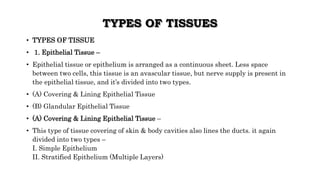 TYPES OF TISSUES
• TYPES OF TISSUE
• 1. Epithelial Tissue –
• Epithelial tissue or epithelium is arranged as a continuous sheet. Less space
between two cells, this tissue is an avascular tissue, but nerve supply is present in
the epithelial tissue, and it’s divided into two types.
• (A) Covering & Lining Epithelial Tissue
• (B) Glandular Epithelial Tissue
• (A) Covering & Lining Epithelial Tissue –
• This type of tissue covering of skin & body cavities also lines the ducts. it again
divided into two types –
I. Simple Epithelium
II. Stratified Epithelium (Multiple Layers)
 