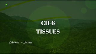 CH-6
TISSUES
Subject - Science
 