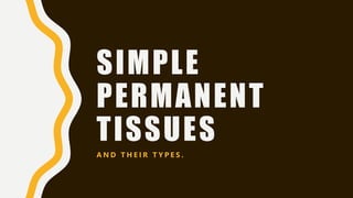 SIMPLE
PERMANENT
TISSUES
A N D T H E I R T Y P E S .
 