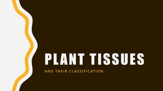 PLANT TISSUES
A N D T H E I R C L A S S I F I C AT I O N .
 