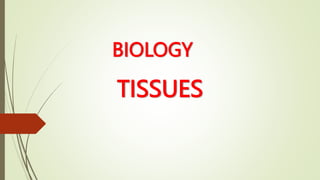 TISSUES
BIOLOGY
 