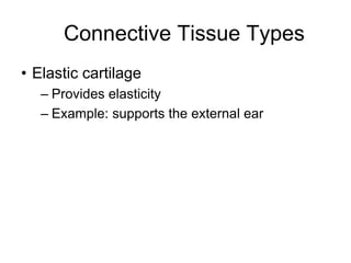 Tissues.ppt