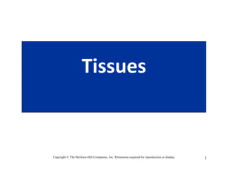 1
Tissues
Copyright © The McGraw-Hill Companies, Inc. Permission required for reproduction or display.
 
