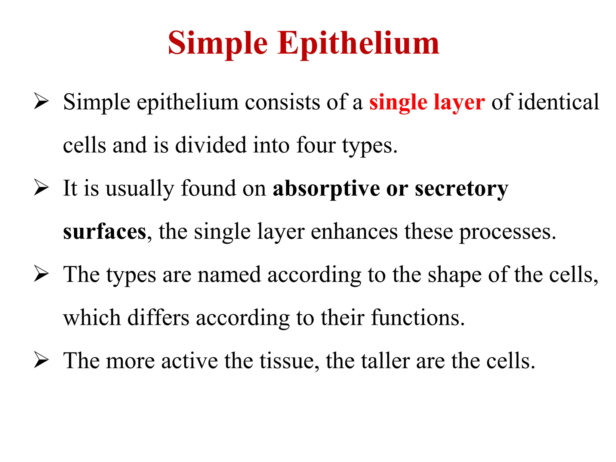 Simple Epithelium
 Simple epithelium consists of a single layer of identical
cells and is divided into four types.
 It is usually found on absorptive or secretory
surfaces, the single layer enhances these processes.
 The types are named according to the shape of the cells,
which differs according to their functions.
 The more active the tissue, the taller are the cells.
 
