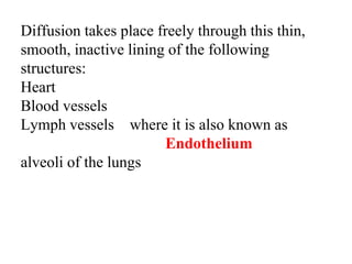 Diffusion takes place freely through this thin,
smooth, inactive lining of the following
structures:
Heart
Blood vessels
Lymph vessels where it is also known as
Endothelium
alveoli of the lungs
 