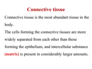 Connective tissue
Connective tissue is the most abundant tissue in the
body.
The cells forming the connective tissues are more
widely separated from each other than those
forming the epithelium, and intercellular substance
(matrix) is present in considerably larger amounts.
 