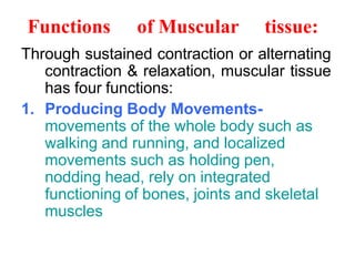 Functions of Muscular tissue:
Through sustained contraction or alternating
contraction & relaxation, muscular tissue
has four functions:
1. Producing Body Movements-
movements of the whole body such as
walking and running, and localized
movements such as holding pen,
nodding head, rely on integrated
functioning of bones, joints and skeletal
muscles
 