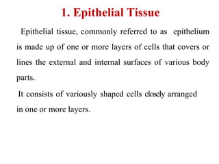 1. Epithelial Tissue
Epithelial tissue, commonly referred to as epithelium
is made up of one or more layers of cells that covers or
lines the external and internal surfaces of various body
parts.
It consists of variously shaped cells closely arranged
in one or more layers.
 