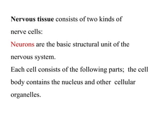 Nervous tissue consists of two kinds of
nerve cells:
Neurons are the basic structural unit of the
nervous system.
Each cell consists of the following parts; the cell
body contains the nucleus and other cellular
organelles.
 